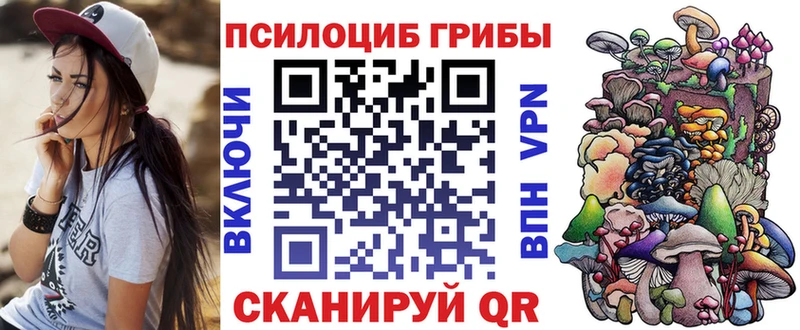 Псилоцибиновые грибы Psilocybe  Костомукша 